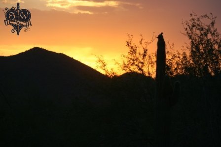 desert sunsets 2011 (5)